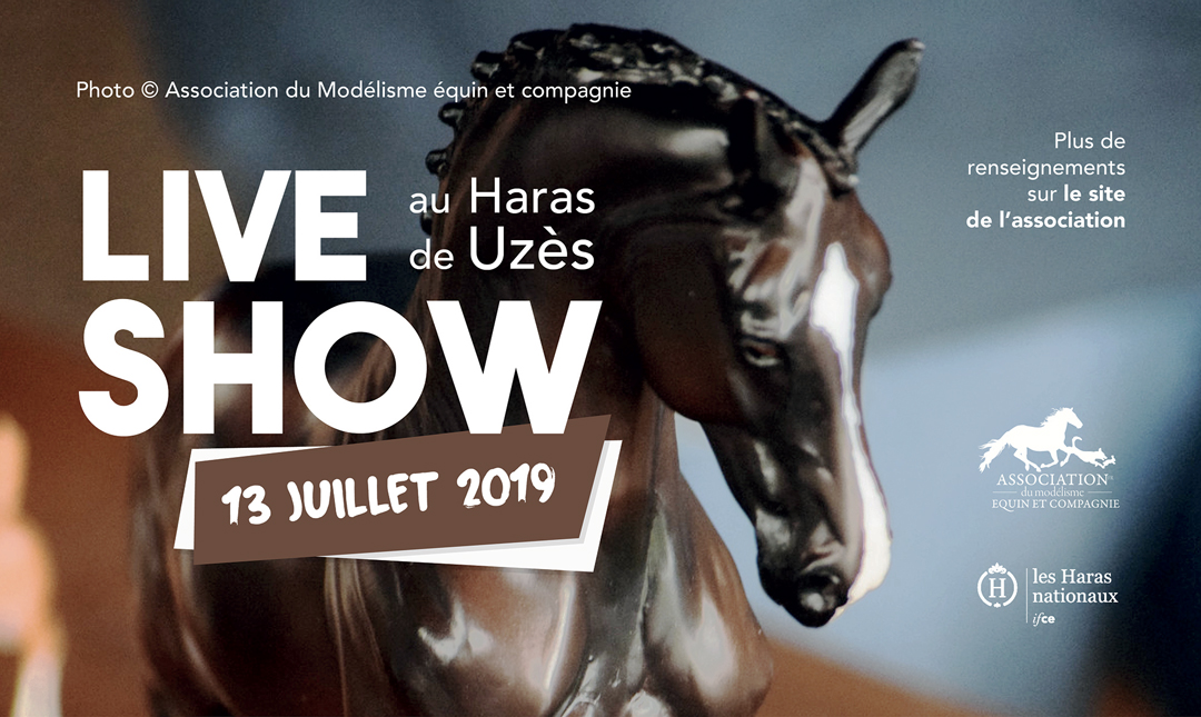 Retour sur Le Liveshow à Uzès
