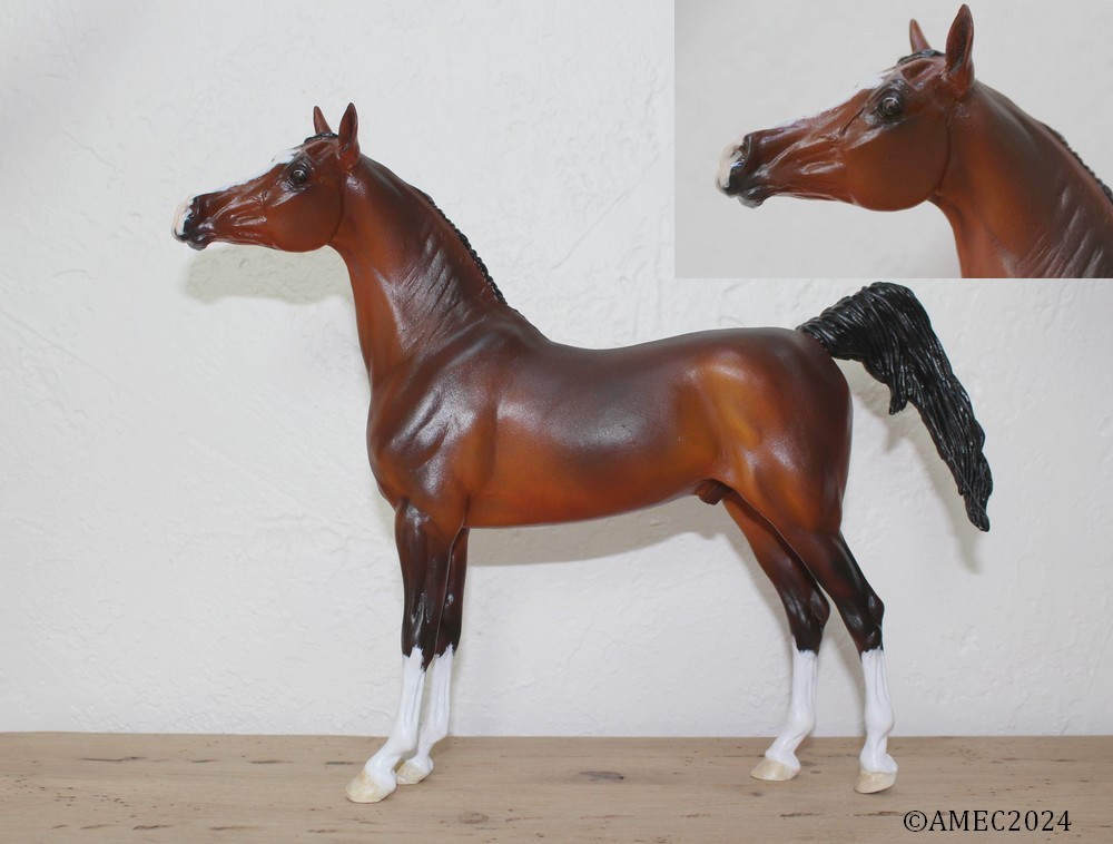 custom d'un cheval bai